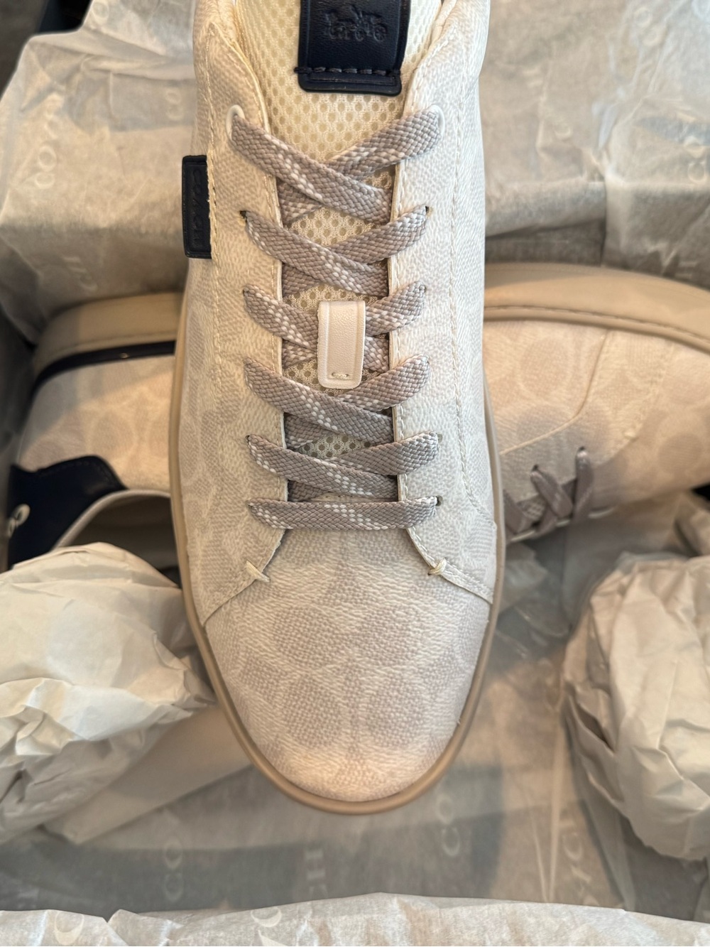 New in box Coach Lowline Low Top Sneakers – Chalk / Cobalt – Men’s 11.5D - Picture 5 of 8